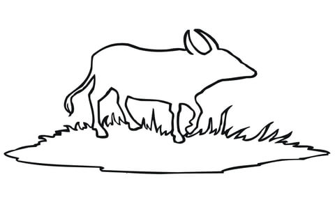 Water Buffalo Outline Coloring Page